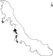 Acalocote