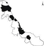 Álamo