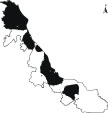 Algodoncillo