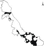 Guayacán