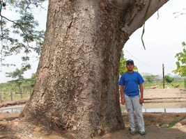 Nacaxtle
