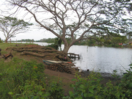 Nacaxtle