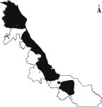 Palma Marrachada