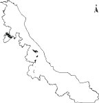 Palo Gusano