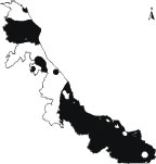Primavera