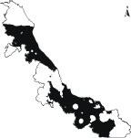 Solerilla