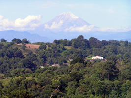 Zona Centro - Xalapa