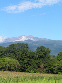 Zona Centro - Xalapa