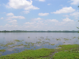 Zona Minatitlán - Coatzacoalcos