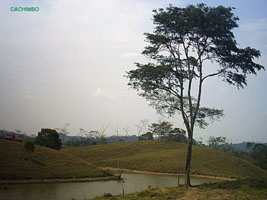 Uxpanapa