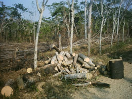 Uxpanapa