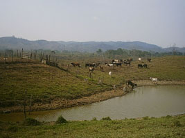 Uxpanapa