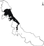 Zopilote